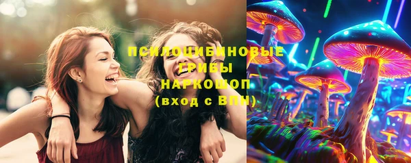 гидропоника Армянск