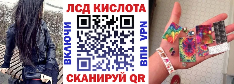 Купить закладки  Новая Ладога  Наркотические марки 1,8мг 