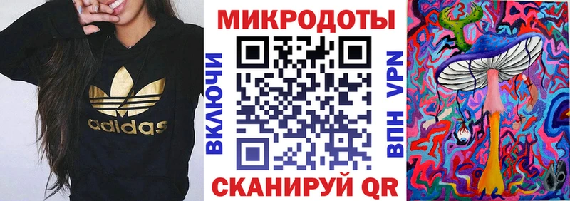 Галлюциногенные грибы MAGIC MUSHROOMS  Купить закладки  Новая Ладога 